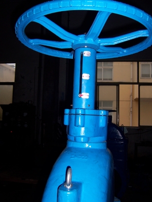 Rubber Resilient Wedge Gate Valve F4 PN10 Flange Drilled Hand Wheel With Position Indicator