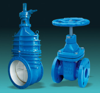 300mm Resilient Seat Gate Valve Wedge Nominal Pressure 200 PSI