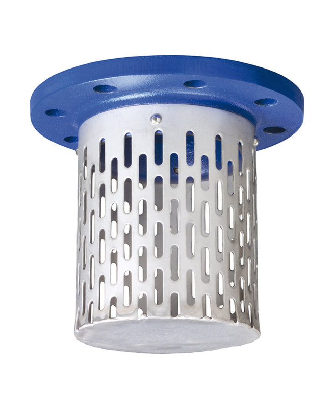 FLanged suction strainer. stainless steel basket, Inlet Filter, Inlet