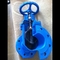 Z45X RVCX Resilient Seated Gate Valve Dark Bar Weaker Sex Seated