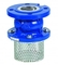 DN15 ~DN300 Stainless Steel Foot Valve With Screen Strainer Epoxy Powder Coating