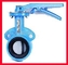 Rubber Lined Lug Type Butterfly Valve , Full Bore Sanitary Butterfly Valve