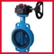 Custom Made Clamp Butterfly Valve / Water Supply Manual Butterfly Valve