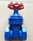 Small Size Metal Resilient Seated Gate Valve For Water Meter With Thread End DN 25