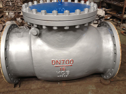 30" Rubber Flapper Swing Check Valve FE / RTJ Class 600 DIN / BS