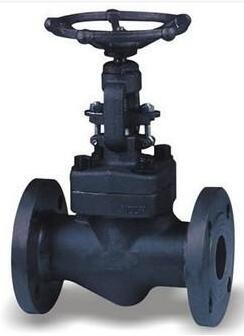 25A 10kg / cm2 x 127L Flanged Globe Valve STS304 HAND WHEEL