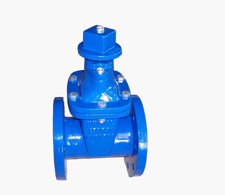 Cast Ductile Iron Body EPDM Wedge Resilient Seated Gate Valve With Resilient Seated