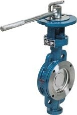 Automatic Double Flanged Butterfly Valve , Blue Threaded Butterfly Valve