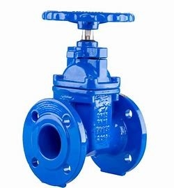 EN 7005.2 2.4Mpa Flange Resilient Seated Gate Valve