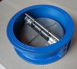 Swing Double Disk Check Valve with SS Spring Loaded PN16 API 598 CE &amp;  ISO