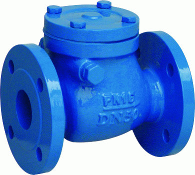 Cast Ductile Iron FF BC Swing Check Valve with 250 PSI Working Pressure ...