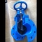 Hand wheel Resilient Seated Gate Valve Body By Cast Iron And Painted