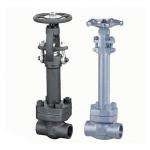 800# Cast Steel Gate Valve with OS & Y Seal Welded Bonnet / Trim Monel