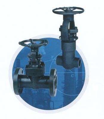 800# Cast Steel Gate Valve with OS & Y Seal Welded Bonnet / Trim Monel