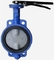 DN50 Cast Iron Wafer 2 Inch SS304 Butterfly Valve