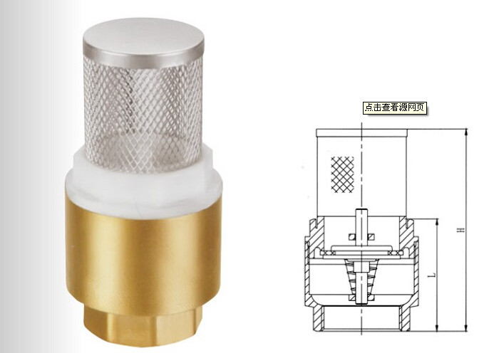 Brass / Stainless Steel Foot Valve Thread Connect End , Spring Check ...